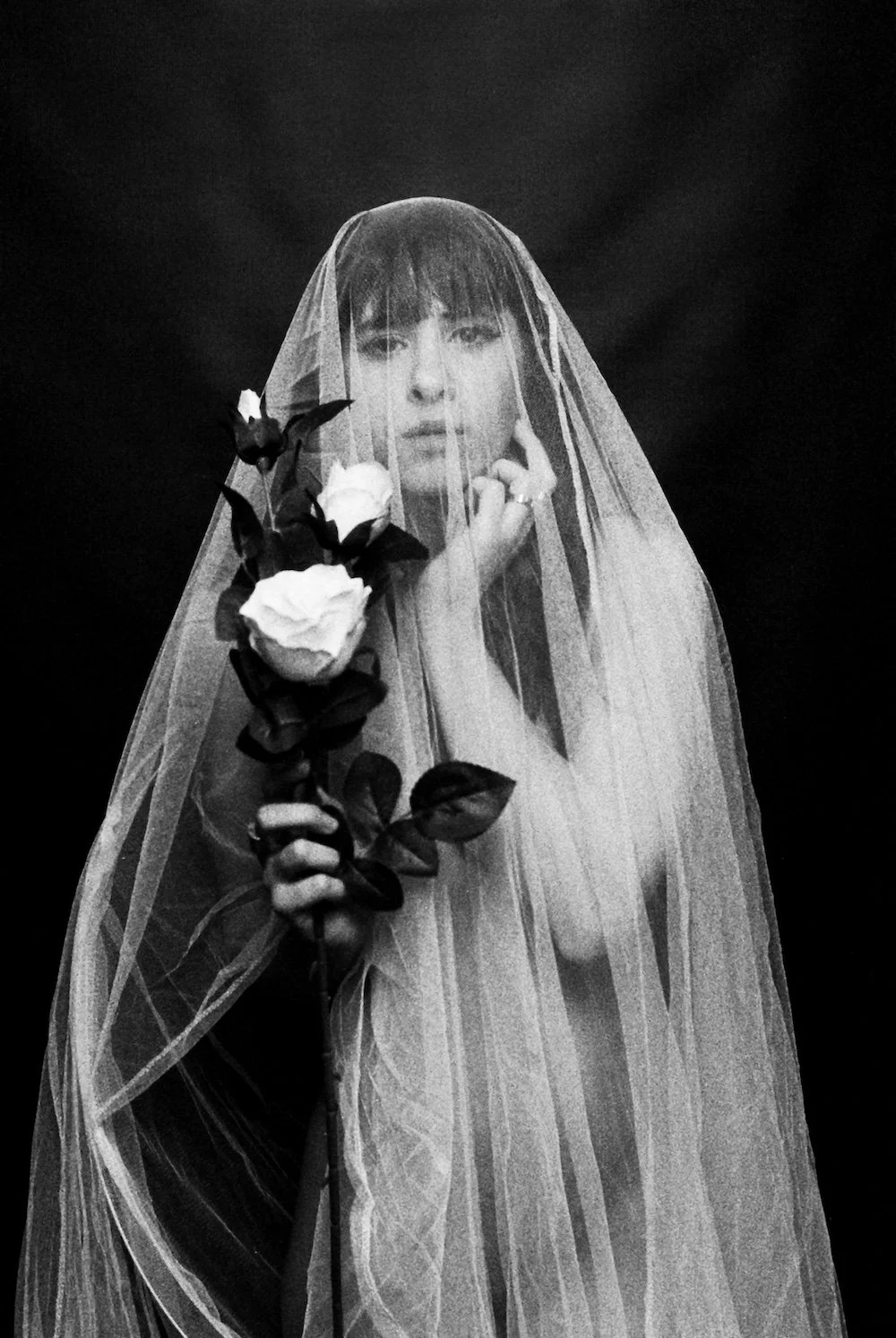 Photographie le dodger photographe photos paris noir et blanc white roses 2.JPG