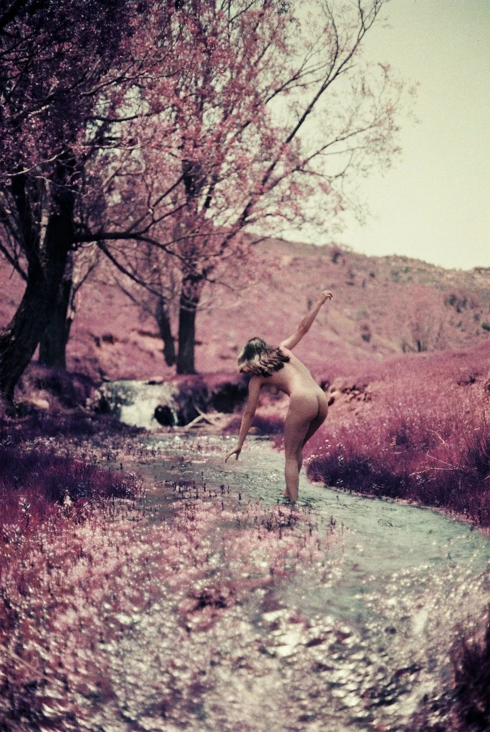 Photographie le dodger photographe photos paris Magali purple trébuche.JPG
