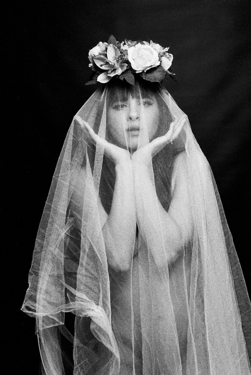 Photographie le dodger photographe photos paris noir et blanc white roses 3.JPG