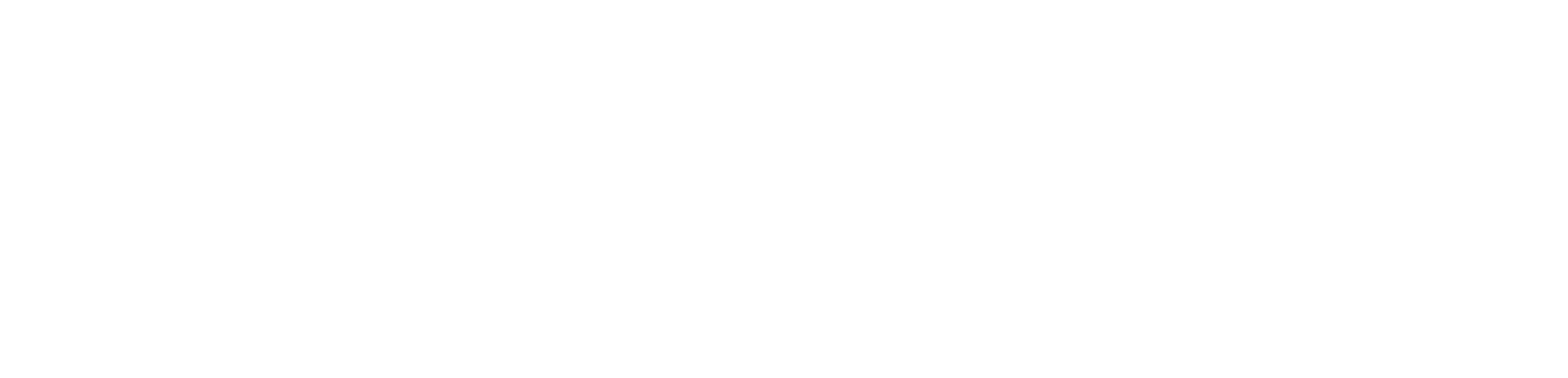 Hawk_logo_White.png