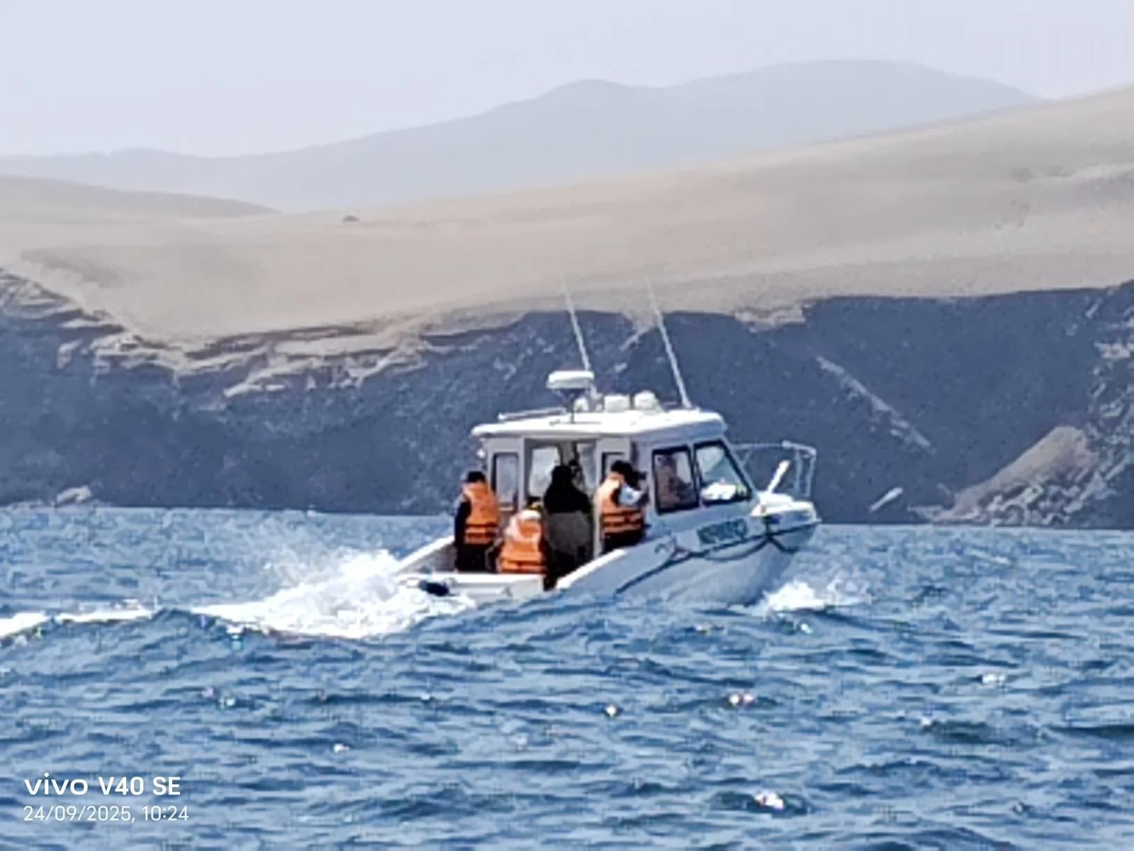 signal-2026-01-13-153120 bote2.jpeg