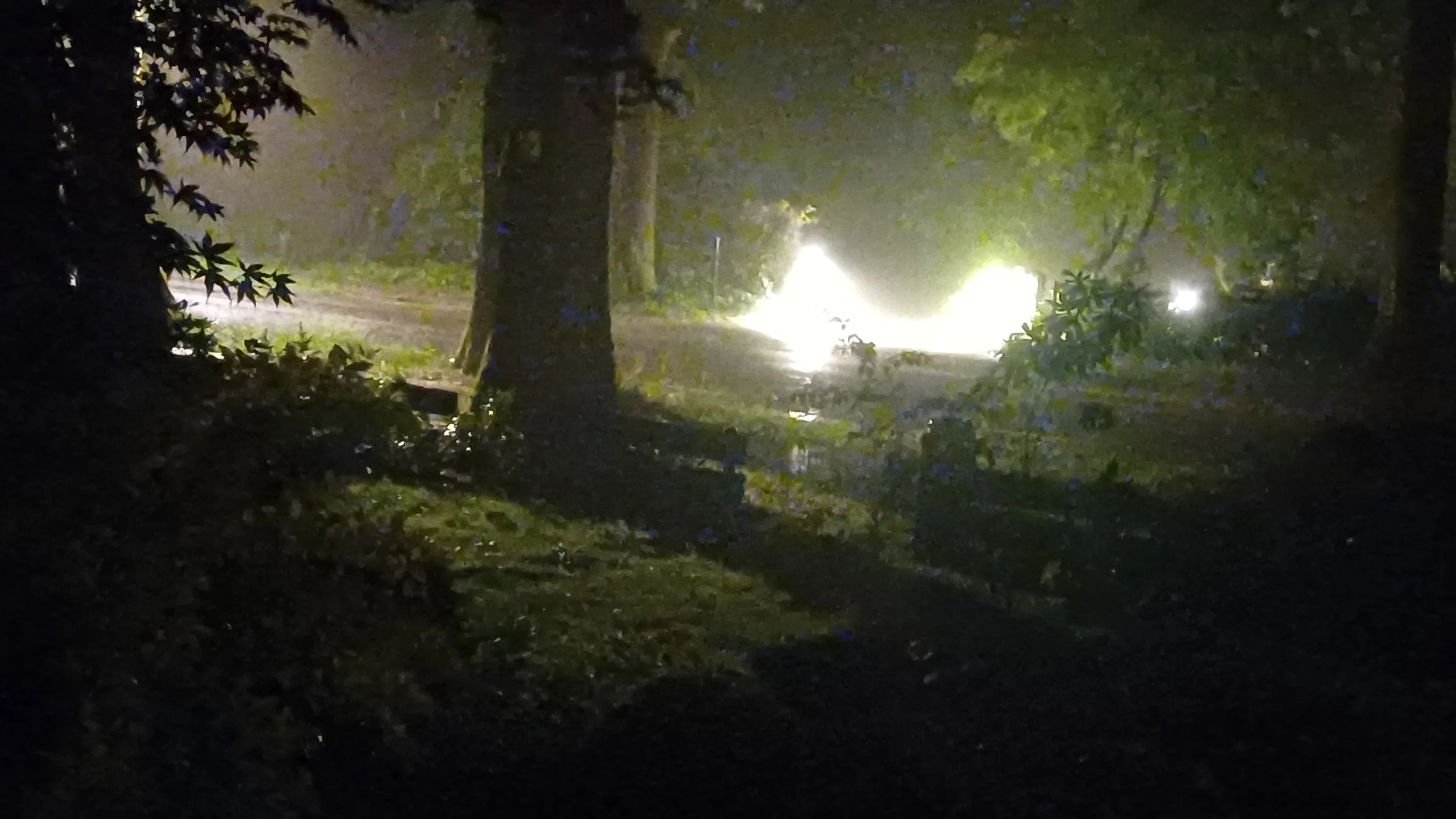 20260621_032255.jpg