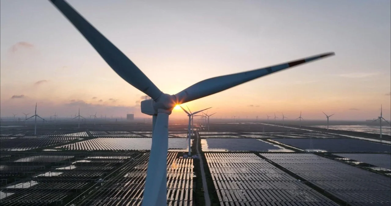 about WHE-Cover 3.jpg