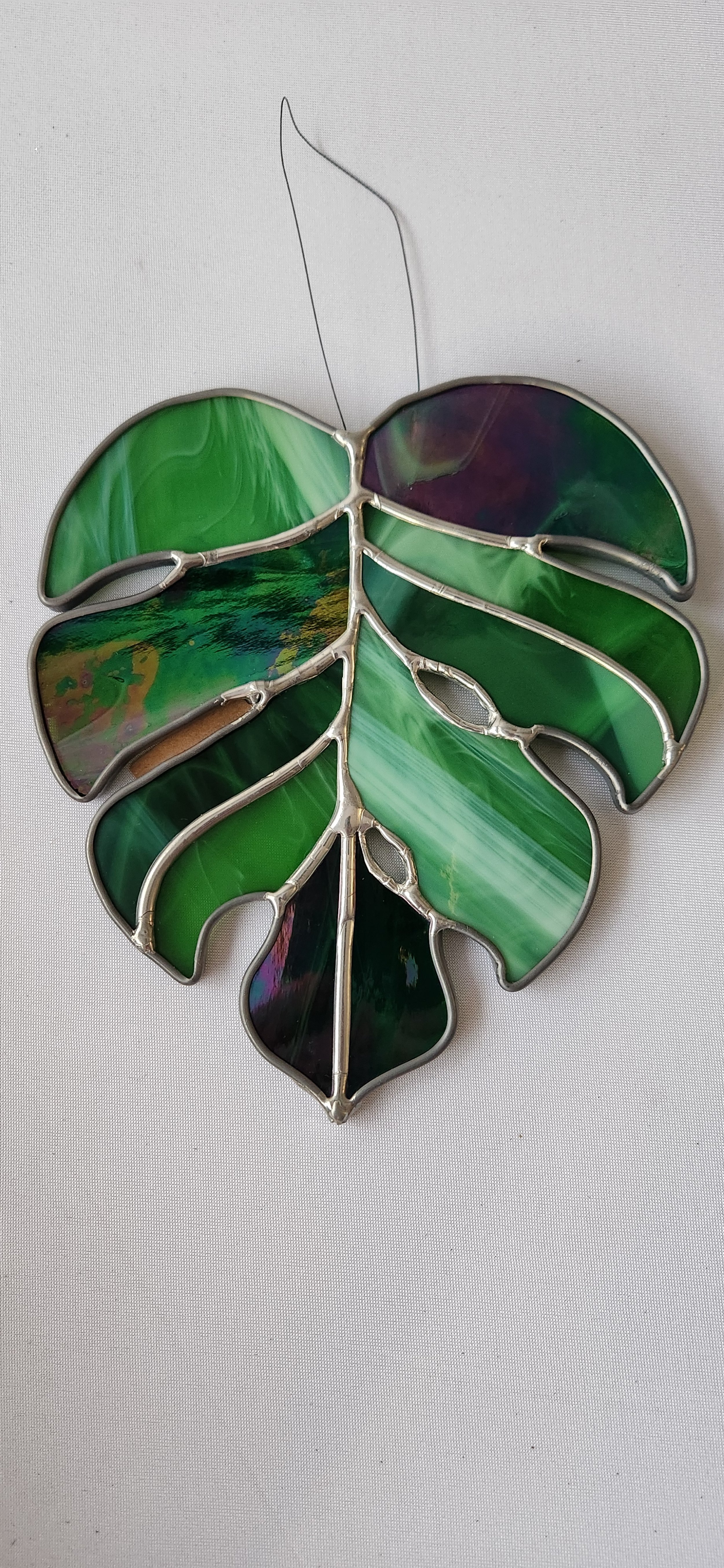 Monstera Leaf