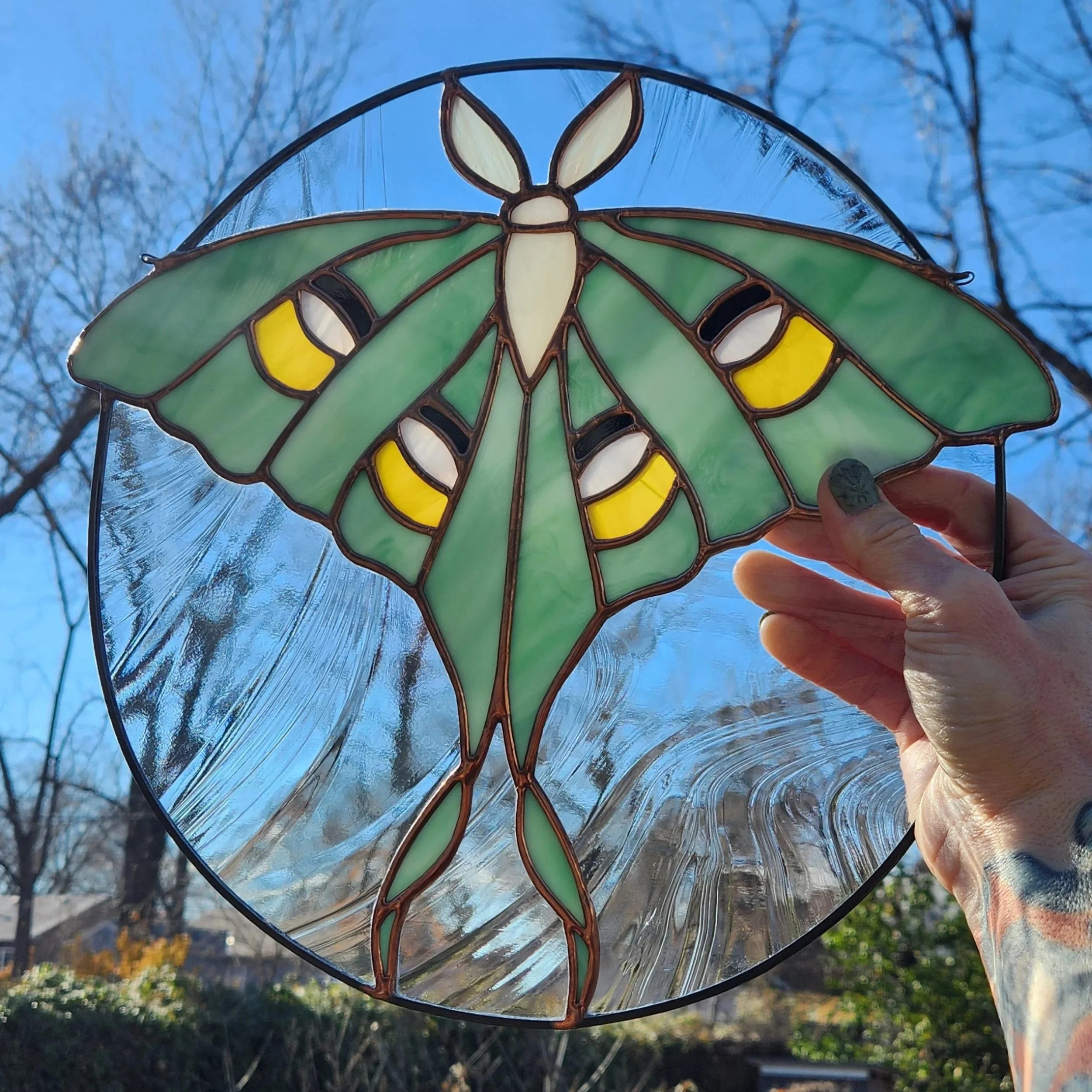 Luna Moth