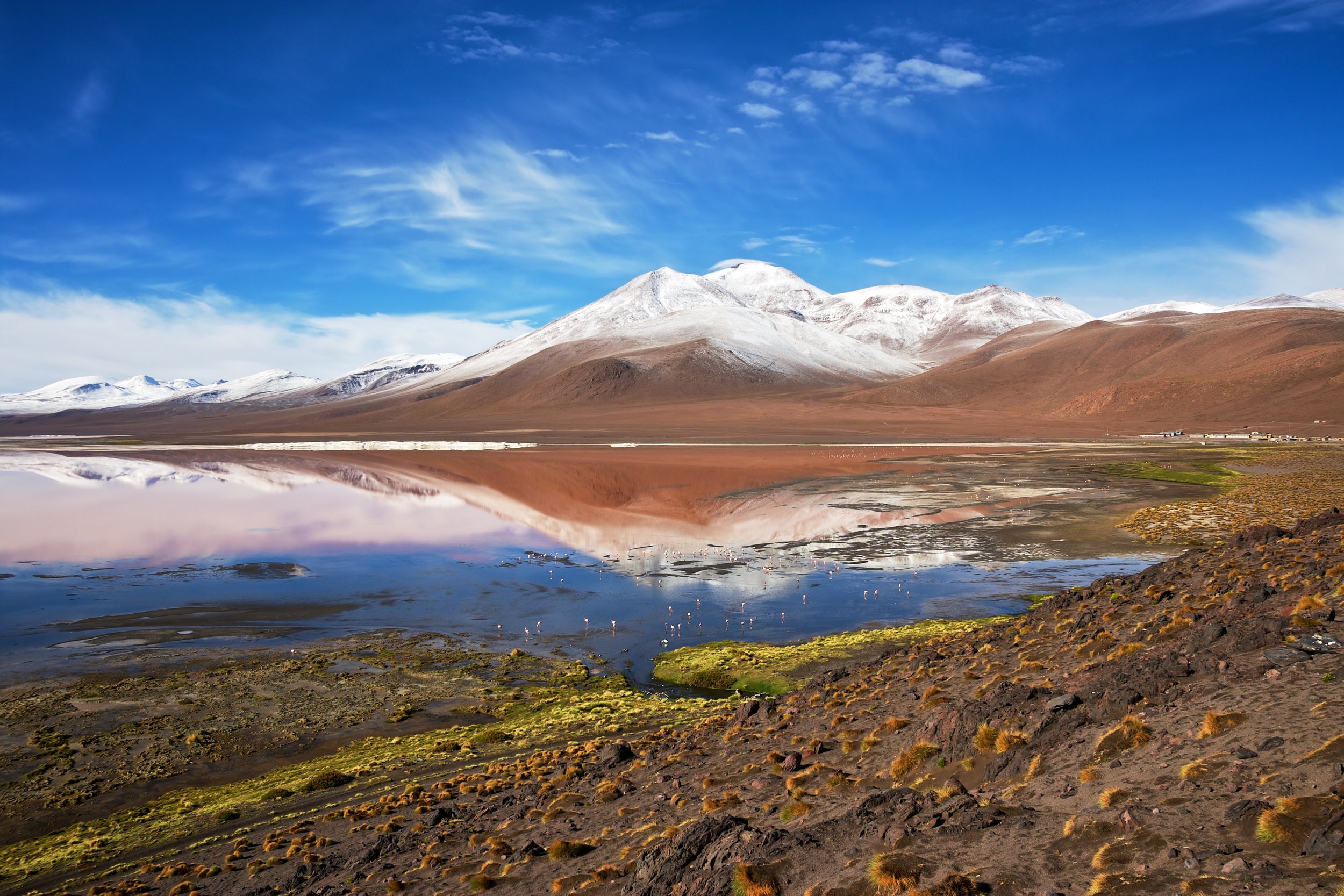 Bolivie-Laguna colorada.jpg