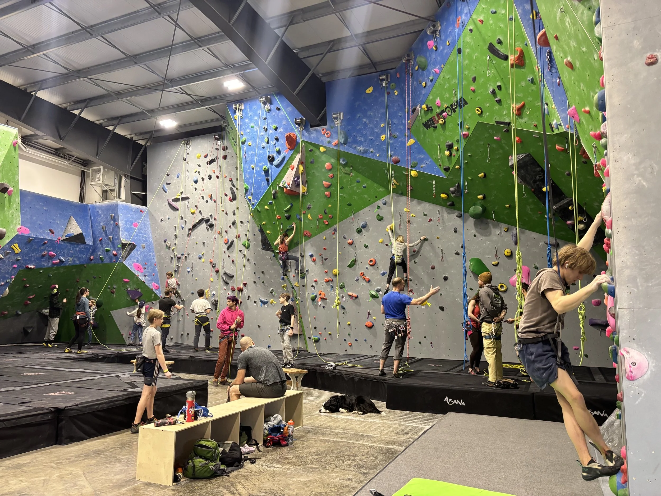 climbers on top rope and auto belay