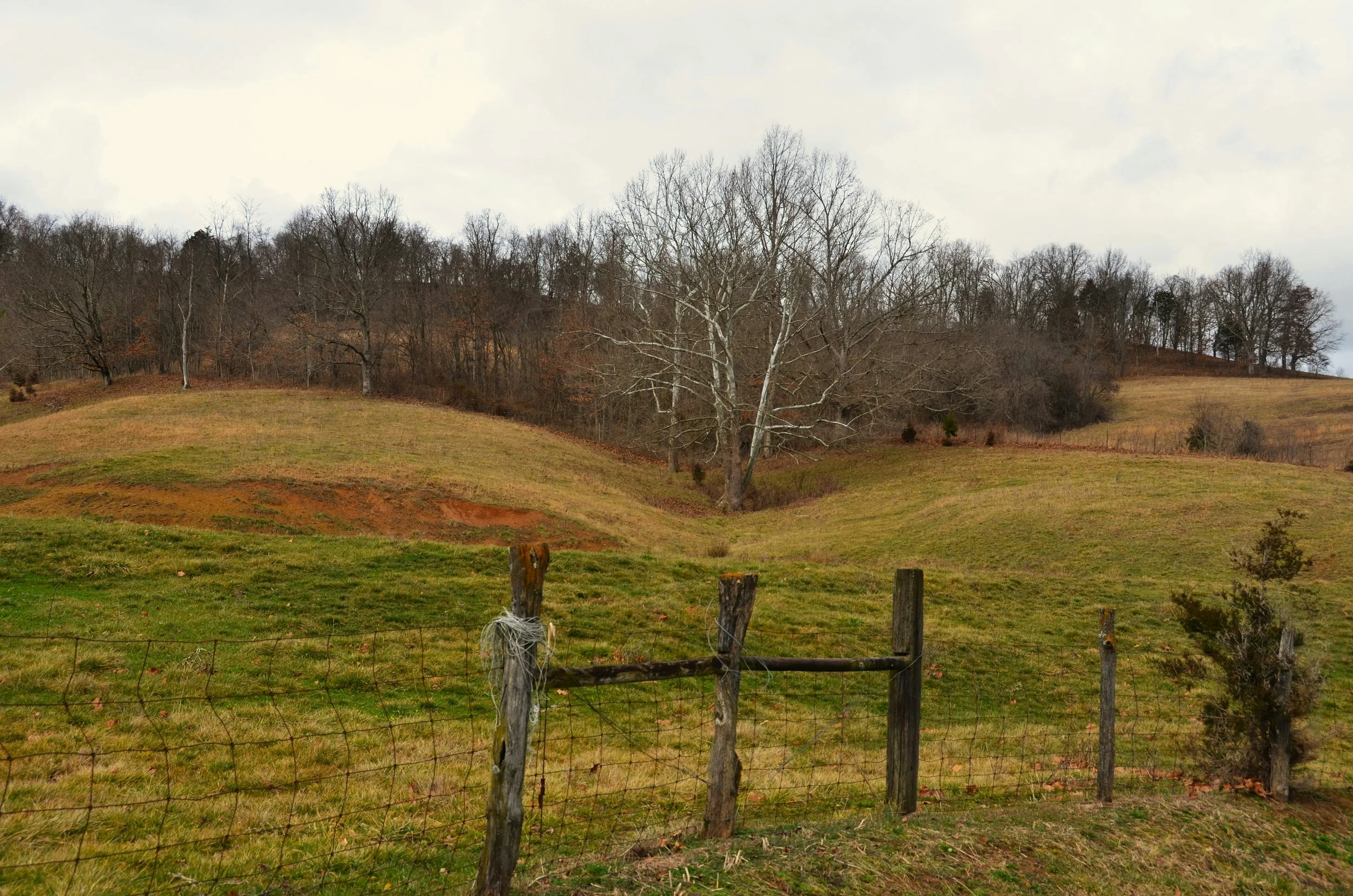 How to Sell Vacant Land in Tennessee (Step-by-Step Guide)