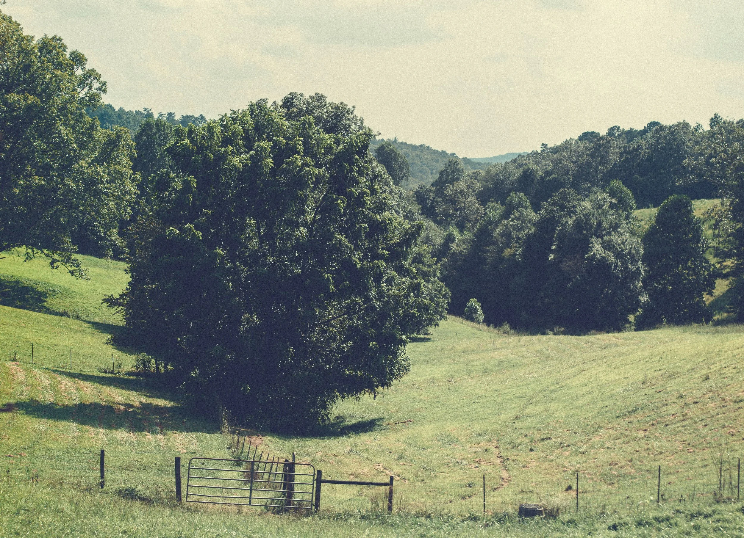 5 Mistakes Landowners Make When Trying to Sell Rural Property (And How to Avoid Them)