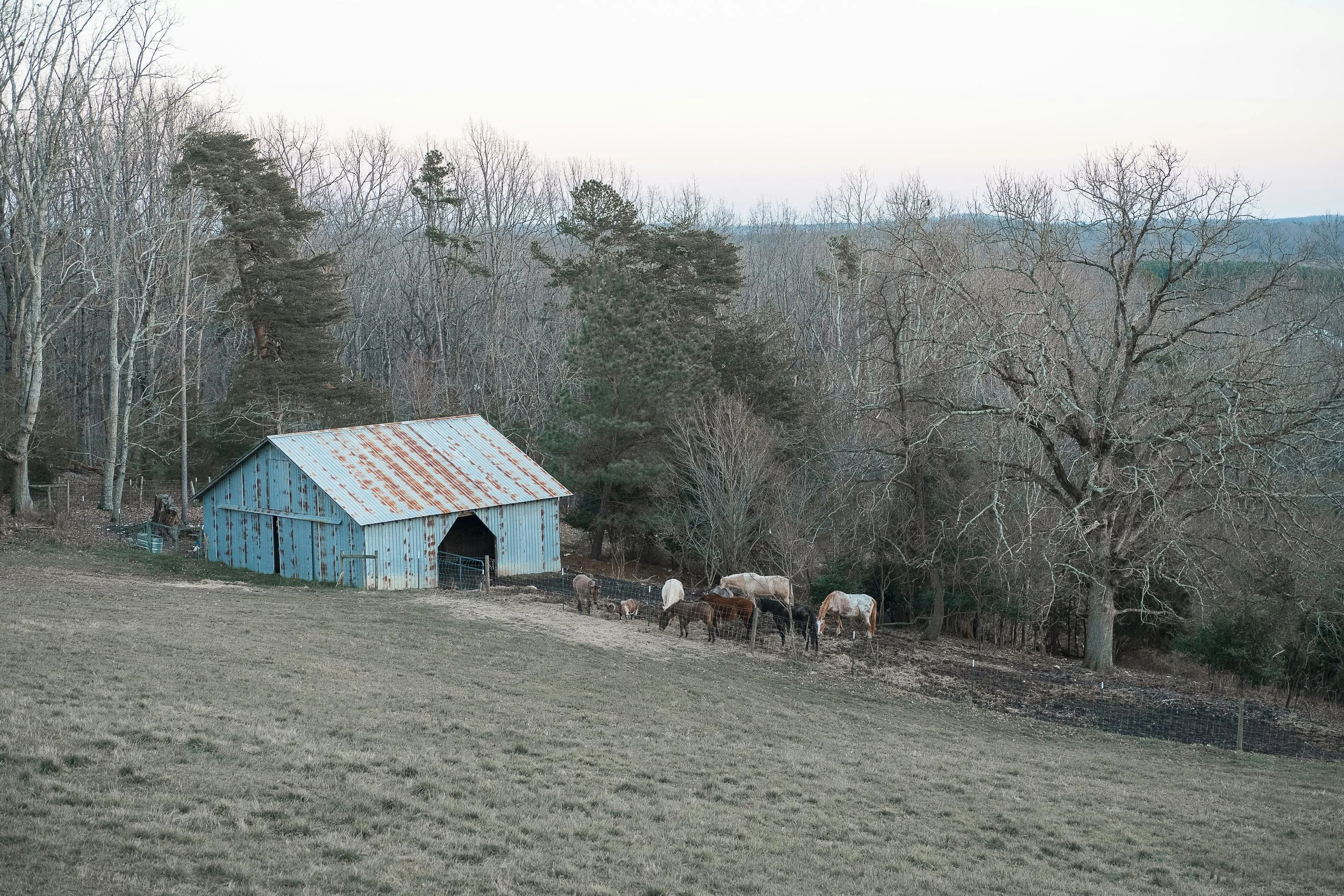 What to Do If You Inherited Land in Tennessee