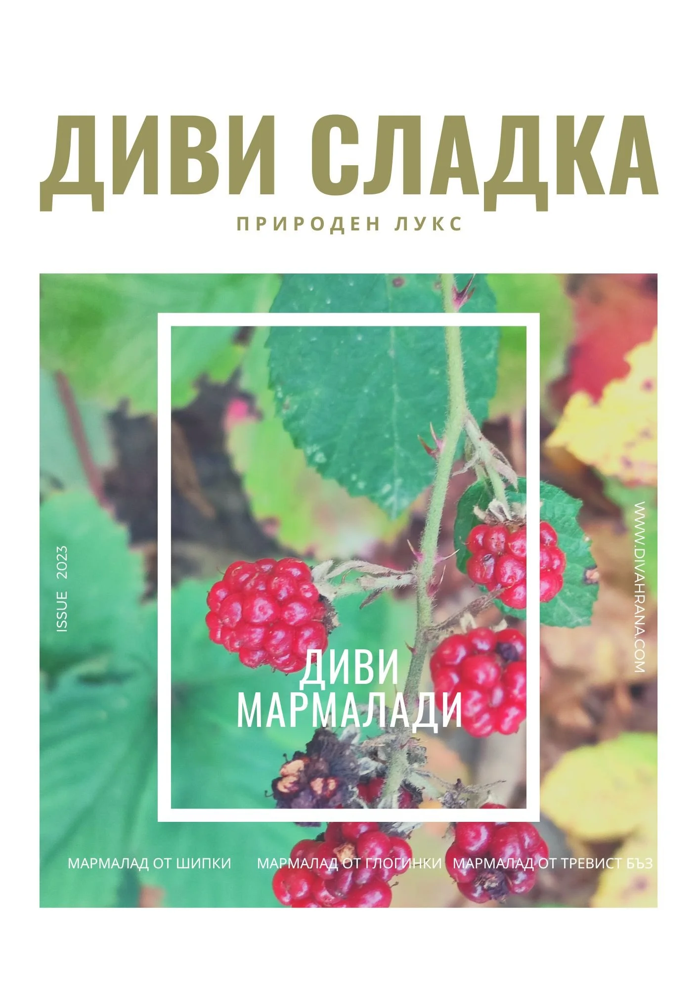 КНИЖКА ДИВИ МАРМАЛАДИ