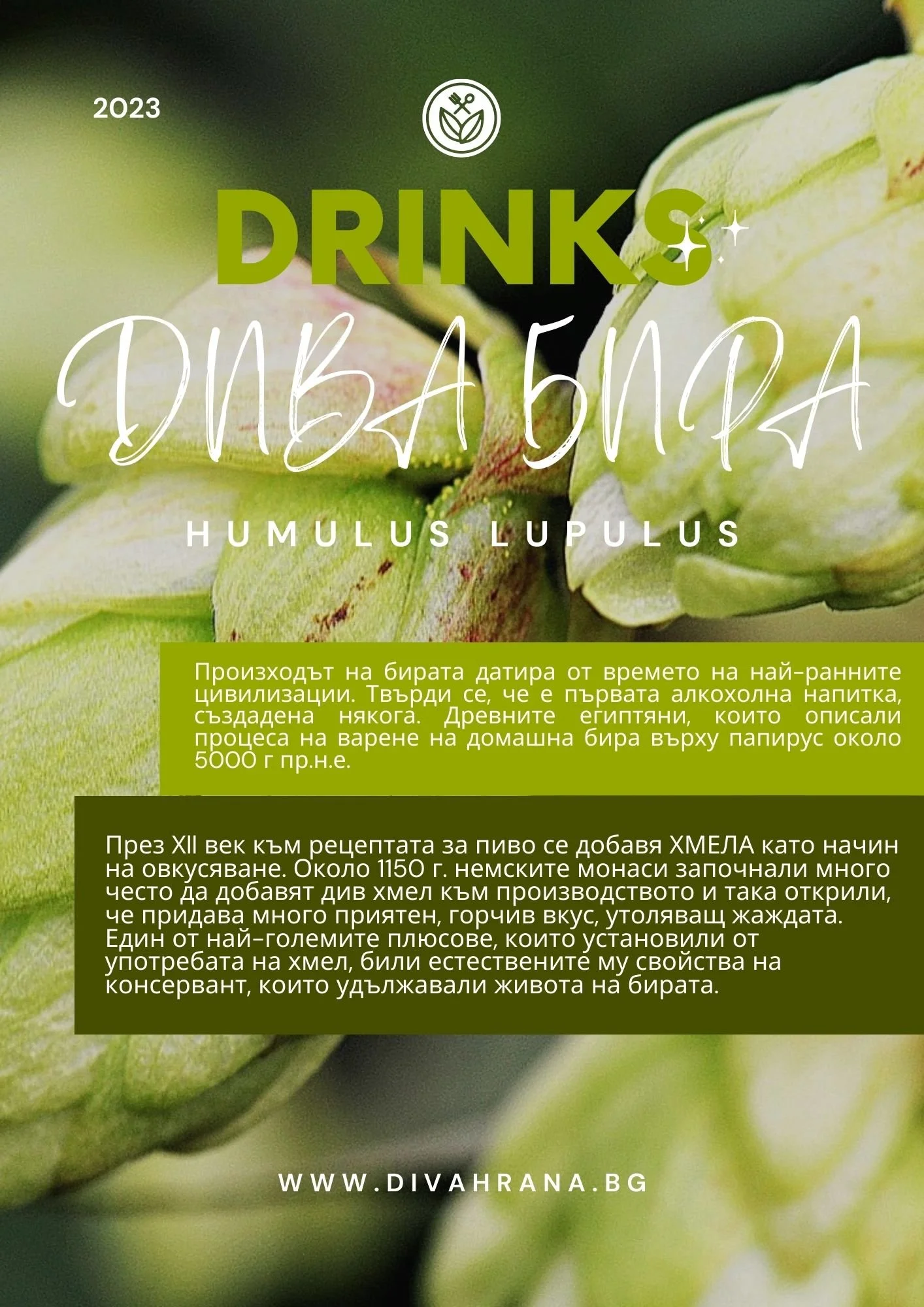 КНИЖКА ДИВИ БИРА