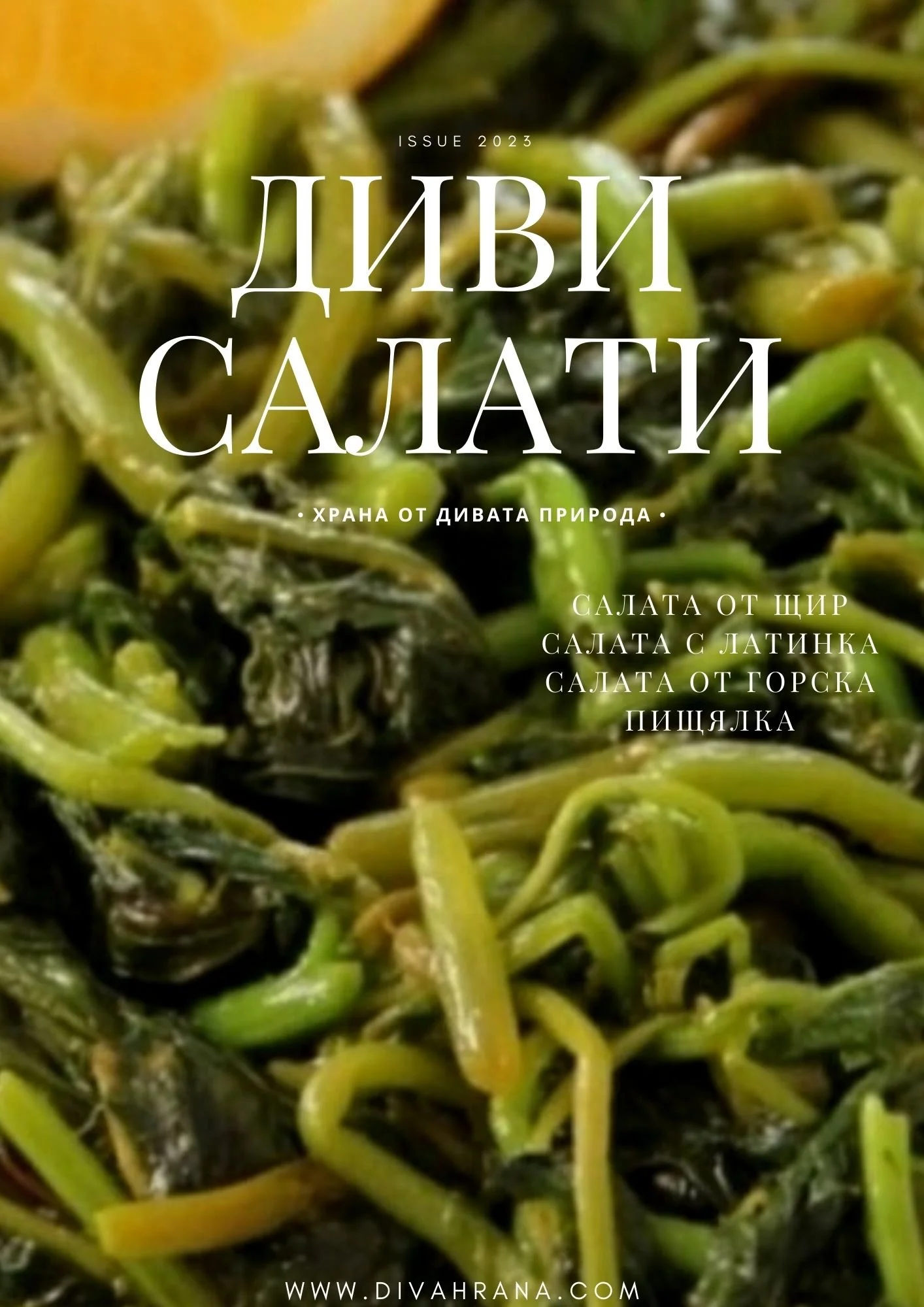 КНИЖКА ДИВИ САЛАТИ