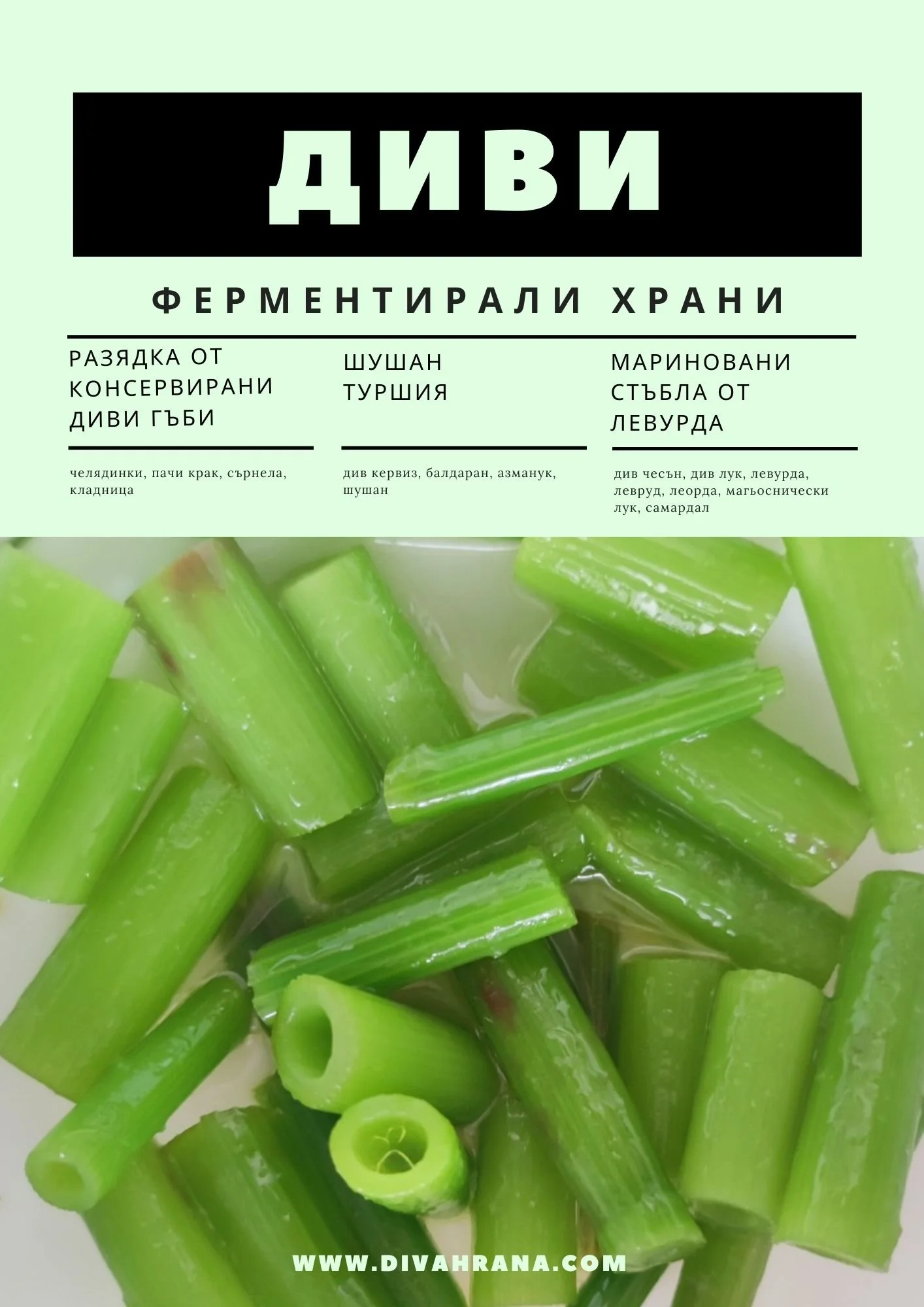 КНИЖКА ДИВИ ФЕРМЕНТИРАЛИ ХРАНИ