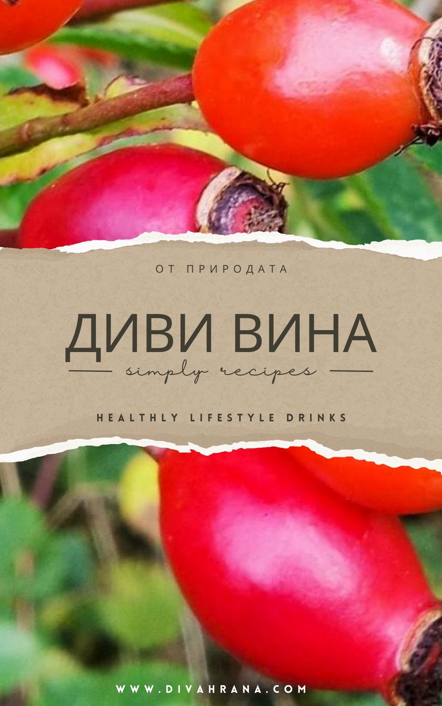 КНИЖКА ДИВИ ВИНА