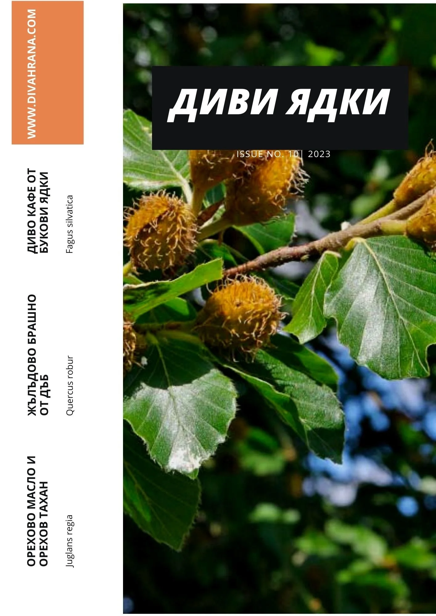 КНИЖКА ДИВИ ЯДКИ