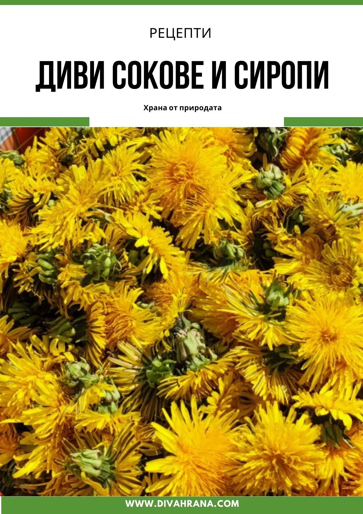 КНИЖКА ДИВИ СОКОВЕ И СИРОПИ