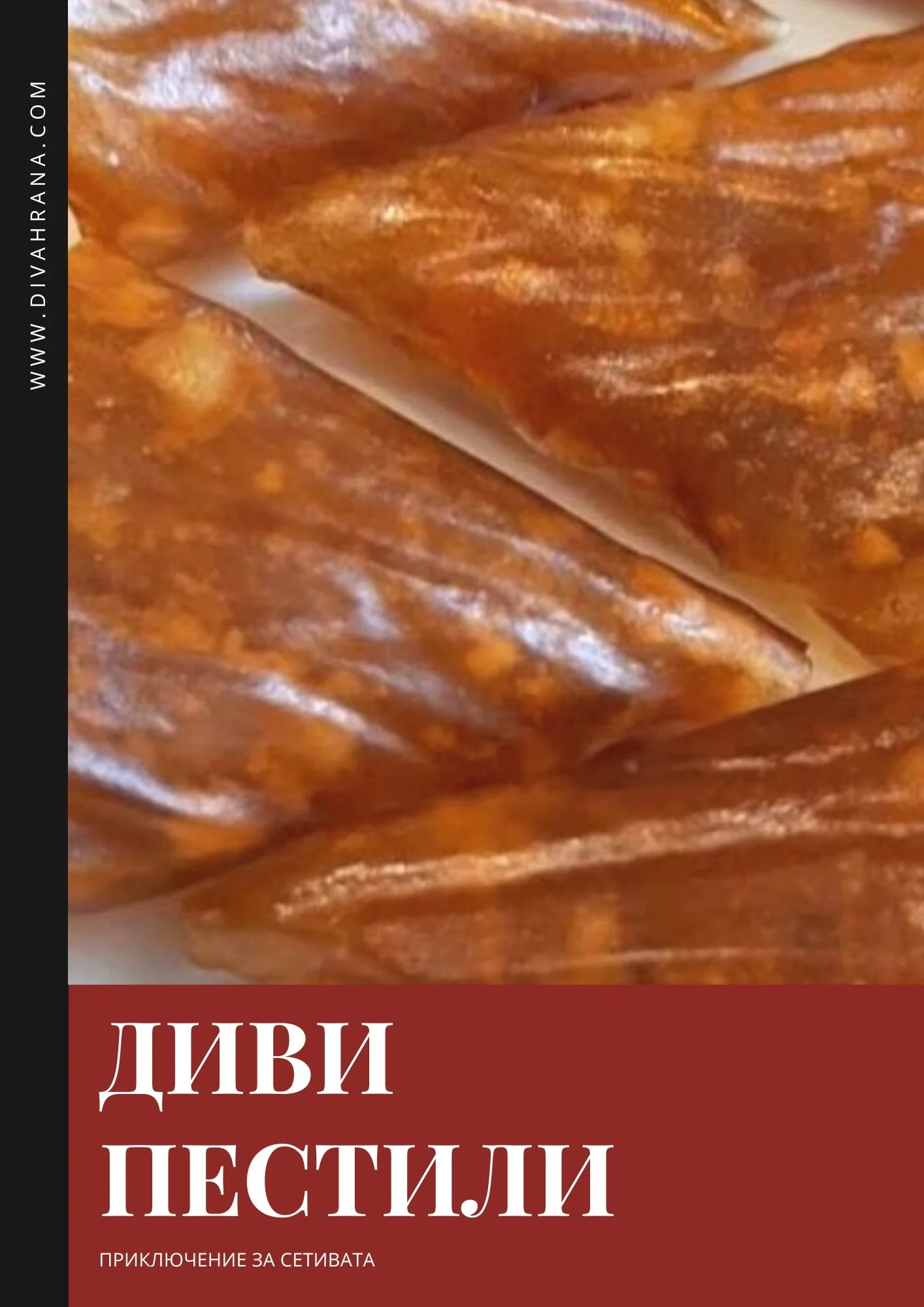 КНИЖКА ДИВИ ПЕСТИЛИ