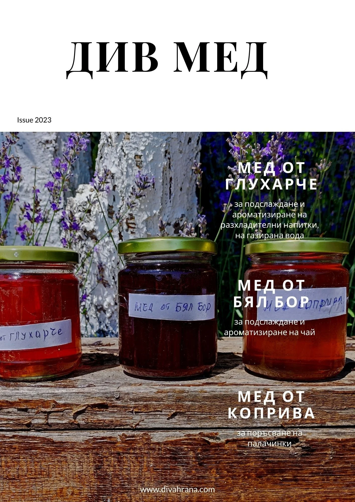КНИЖКА ДИВ МЕД