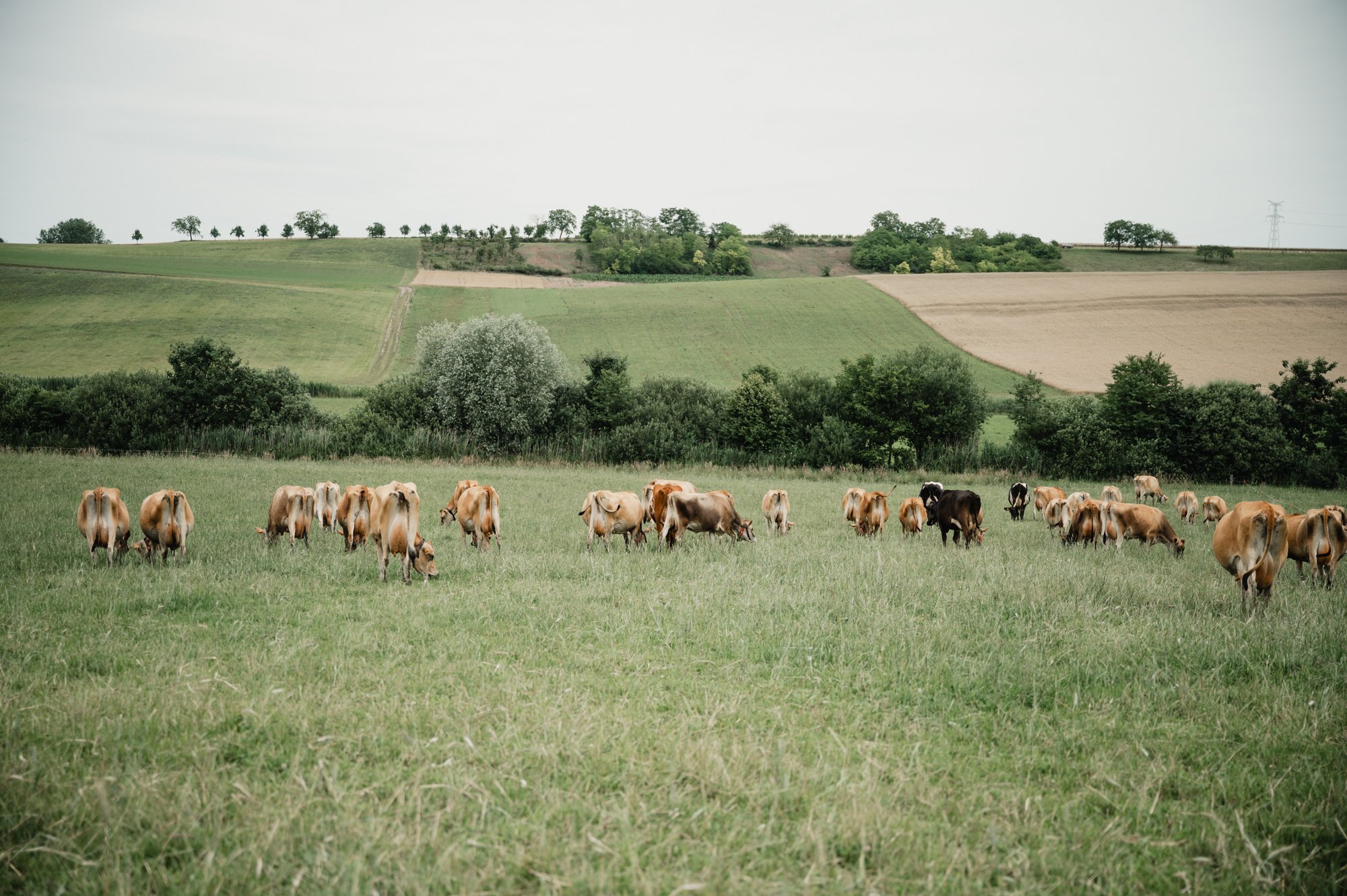 ilek-biomethane@claire-jaillard-3.jpg