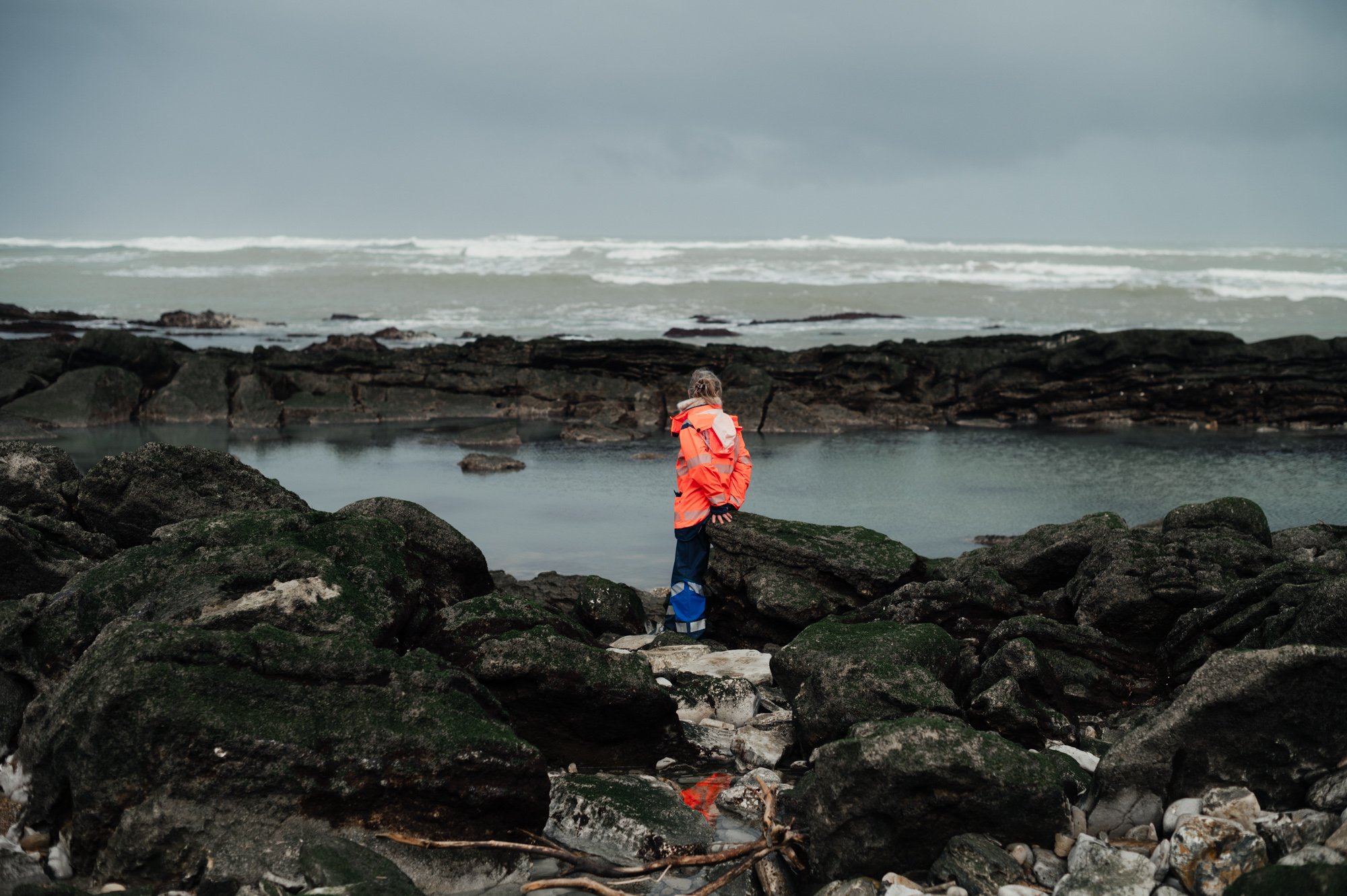 Une chaîne humaine pour les macareux