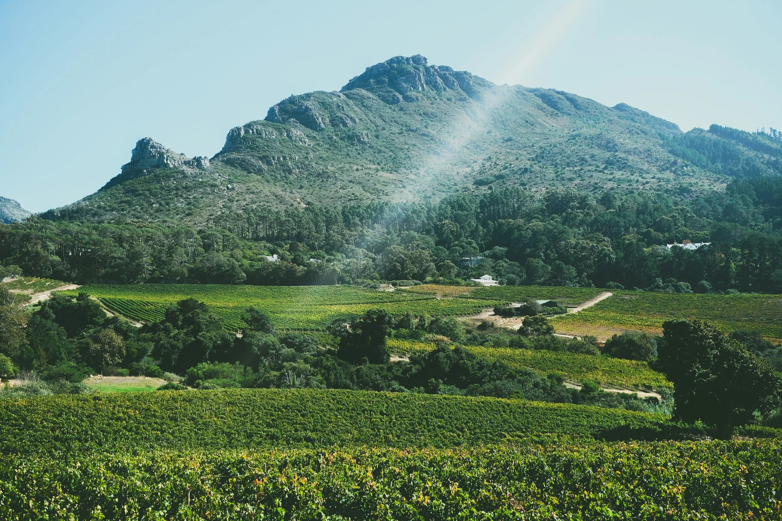 Breede River Valley