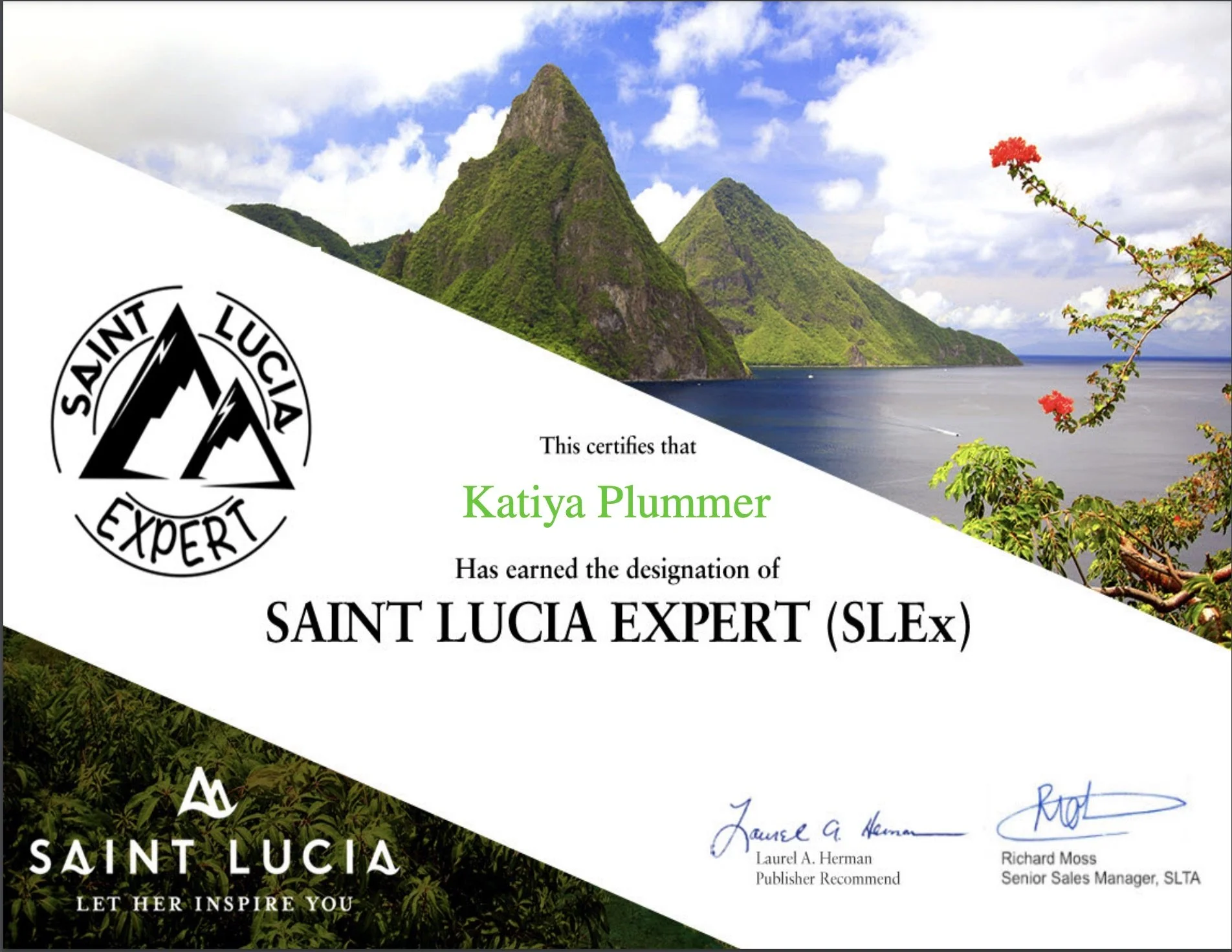 Screenshot 2025-01-17 at 5.15.44 PM.jpeg