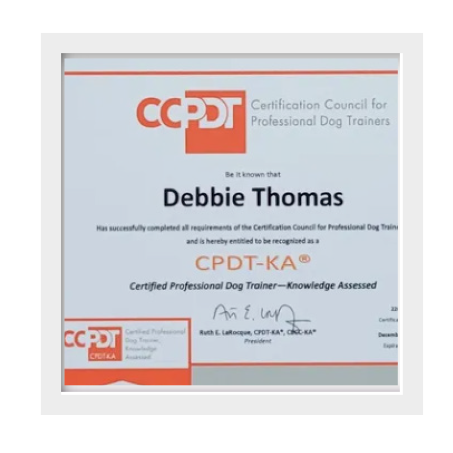 CCPDT.png