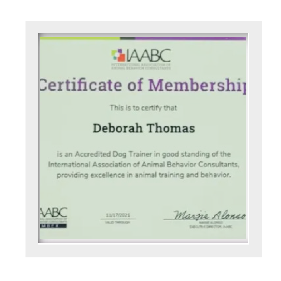 IAABC.png