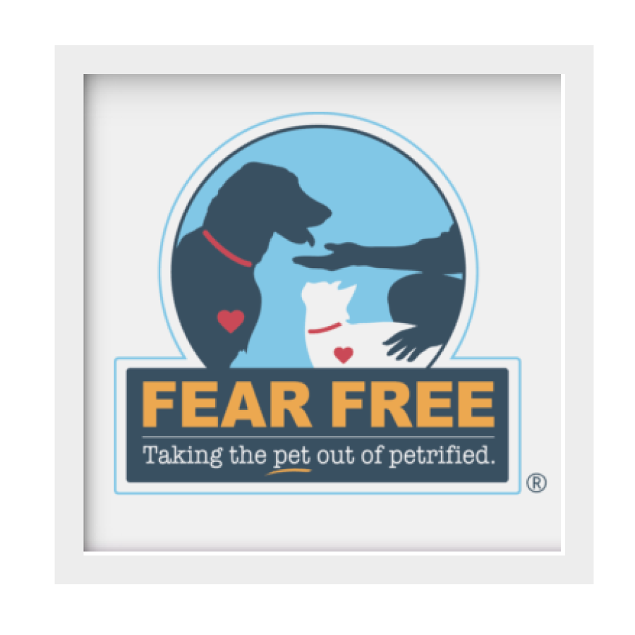 FearFree.png