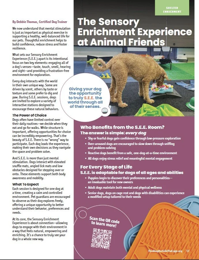 Screenshot 2026-04-21 223310.jpg