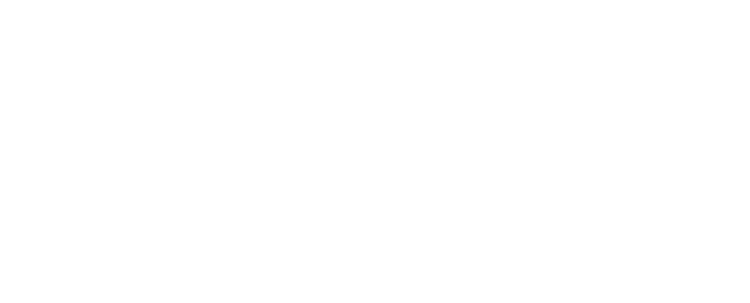 MCN Logo