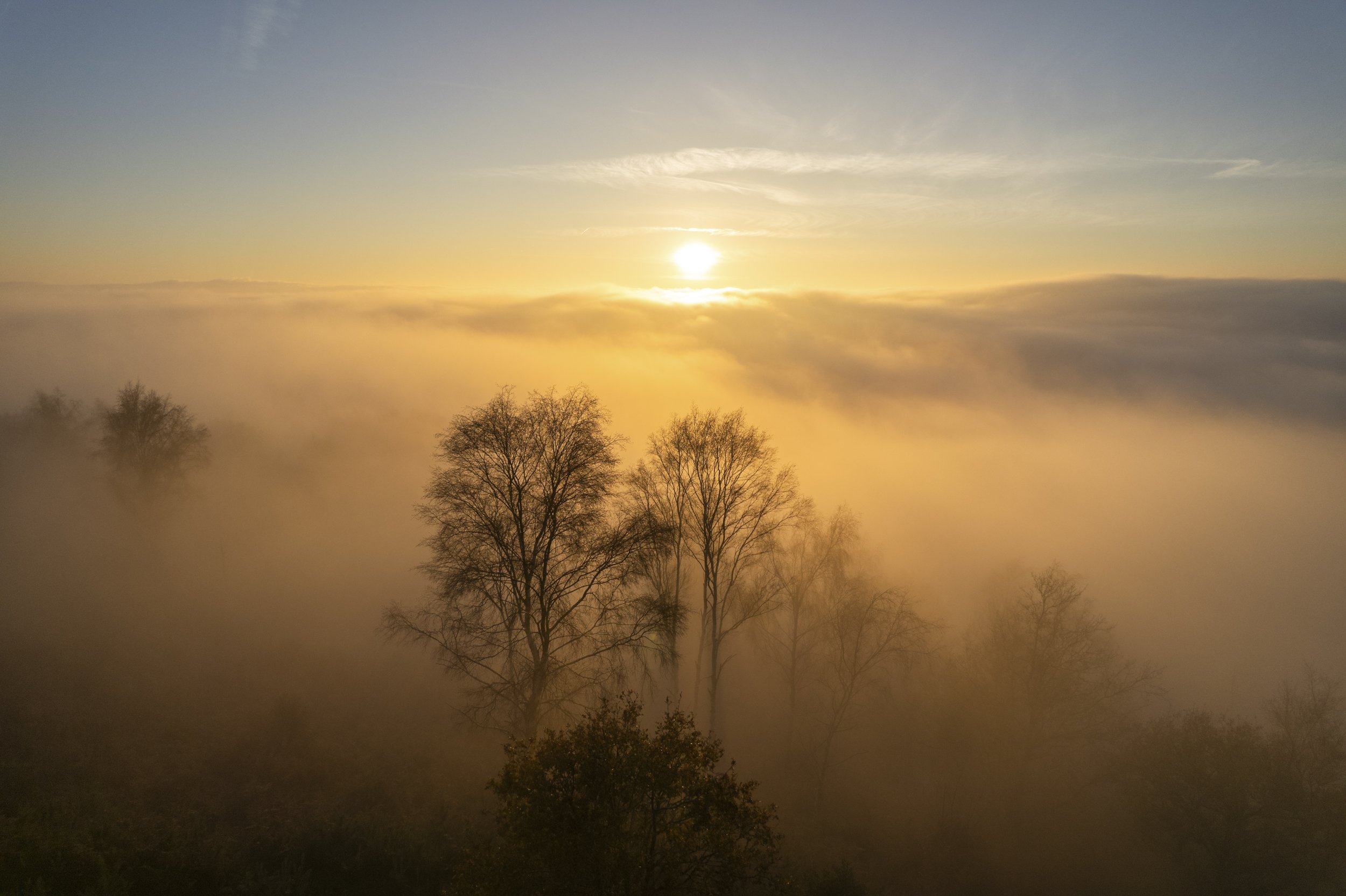 Misty Silhouettes, Woolbeding - The sun is close to setting and is about to drop into the mist.
