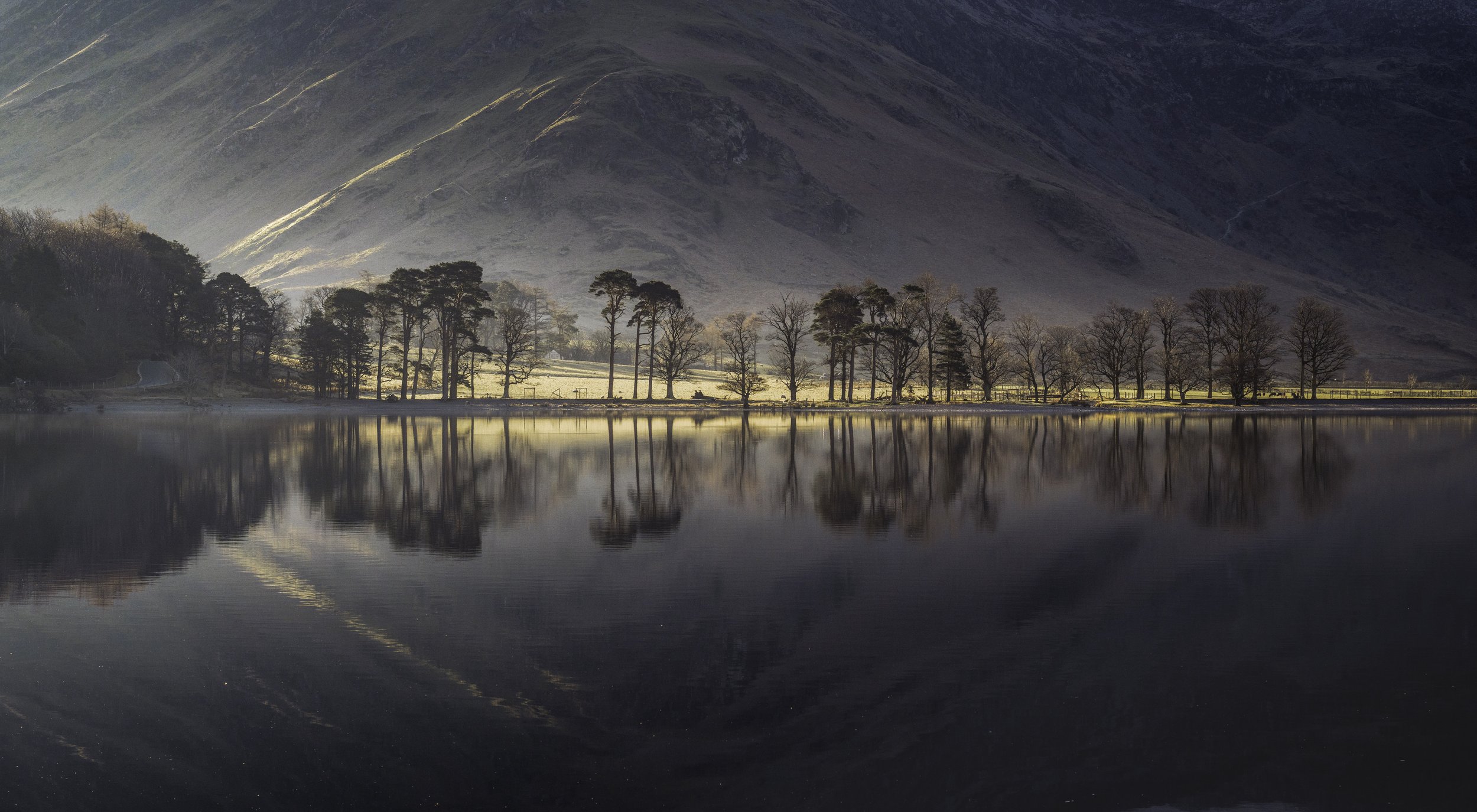 Reflections, Buttermere 2 - Wonderfully calm waters give fabulous reflections of the iconic Scots pines on Buttermere