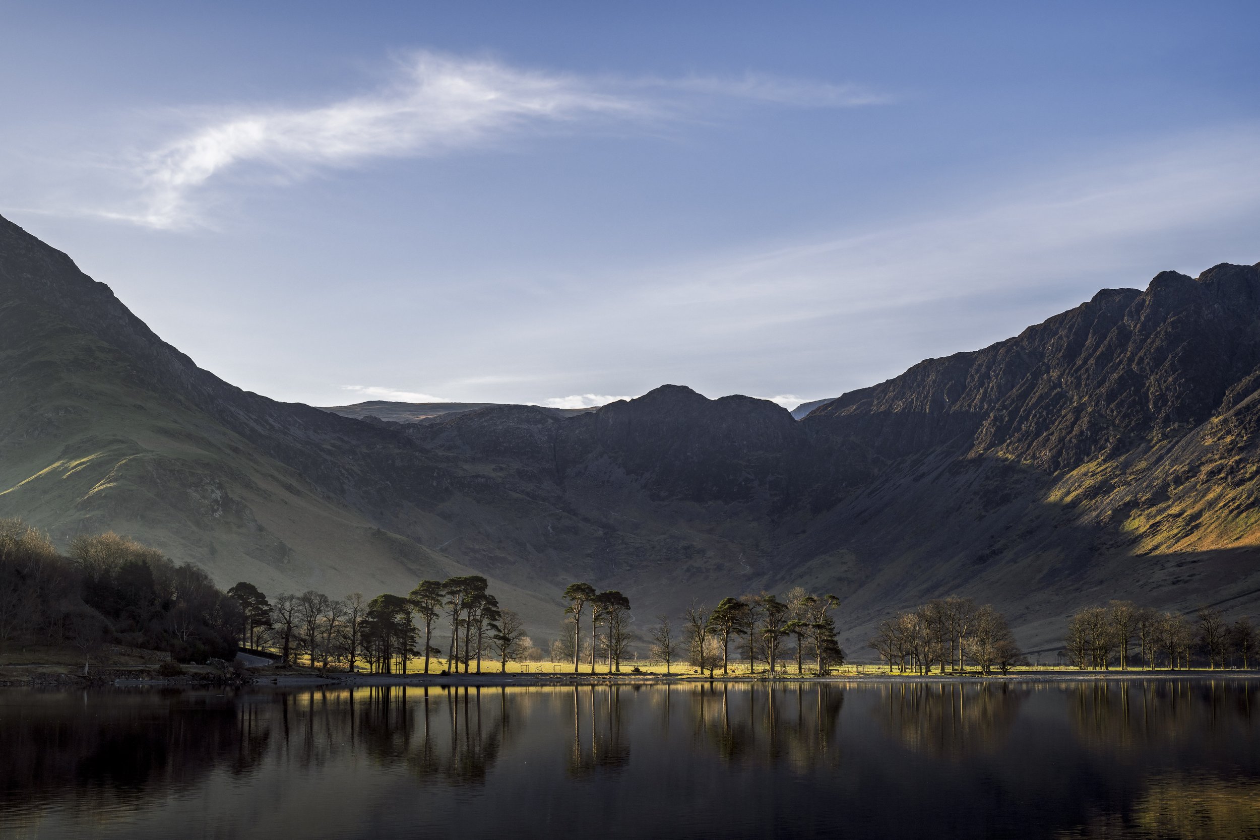 Buttermere Pines - Shortly after sunrise on a beautiful sunny Spring morning.
