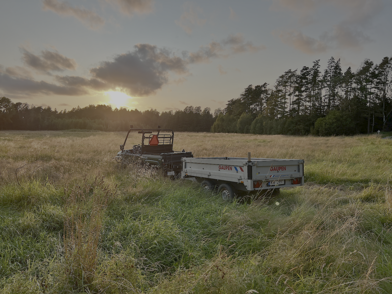 Solnedgång över betesmarken