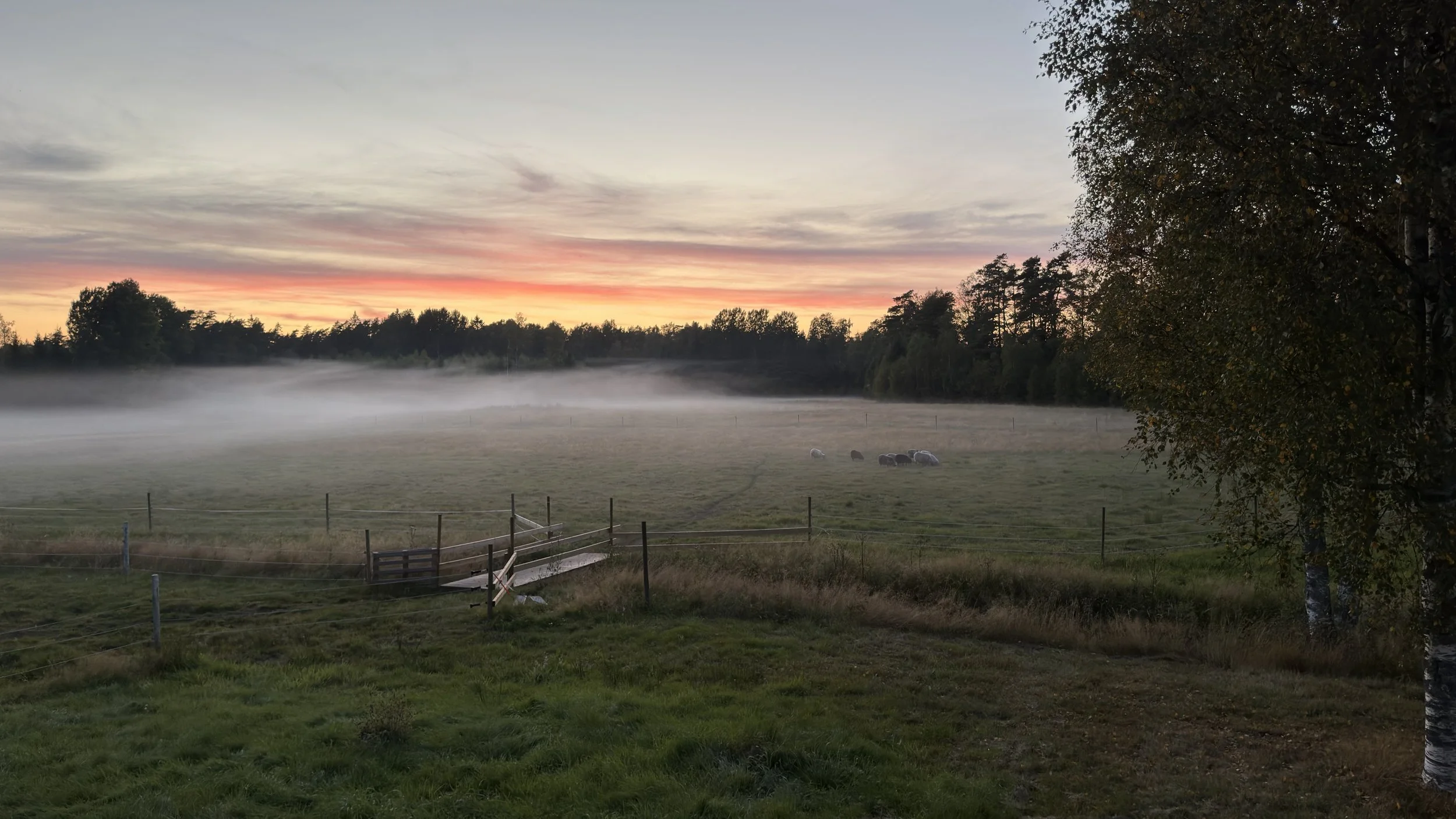 Soldnedgång, med dammet i luften som har gett namnet på gården