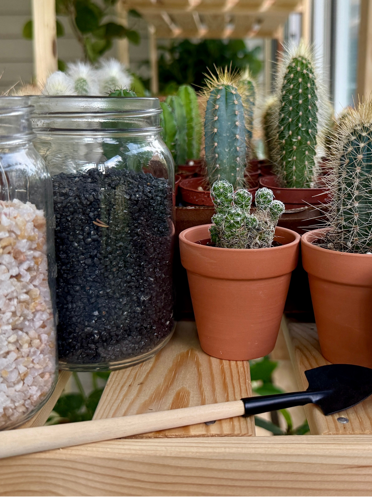 Cactus bar 1 (2).png