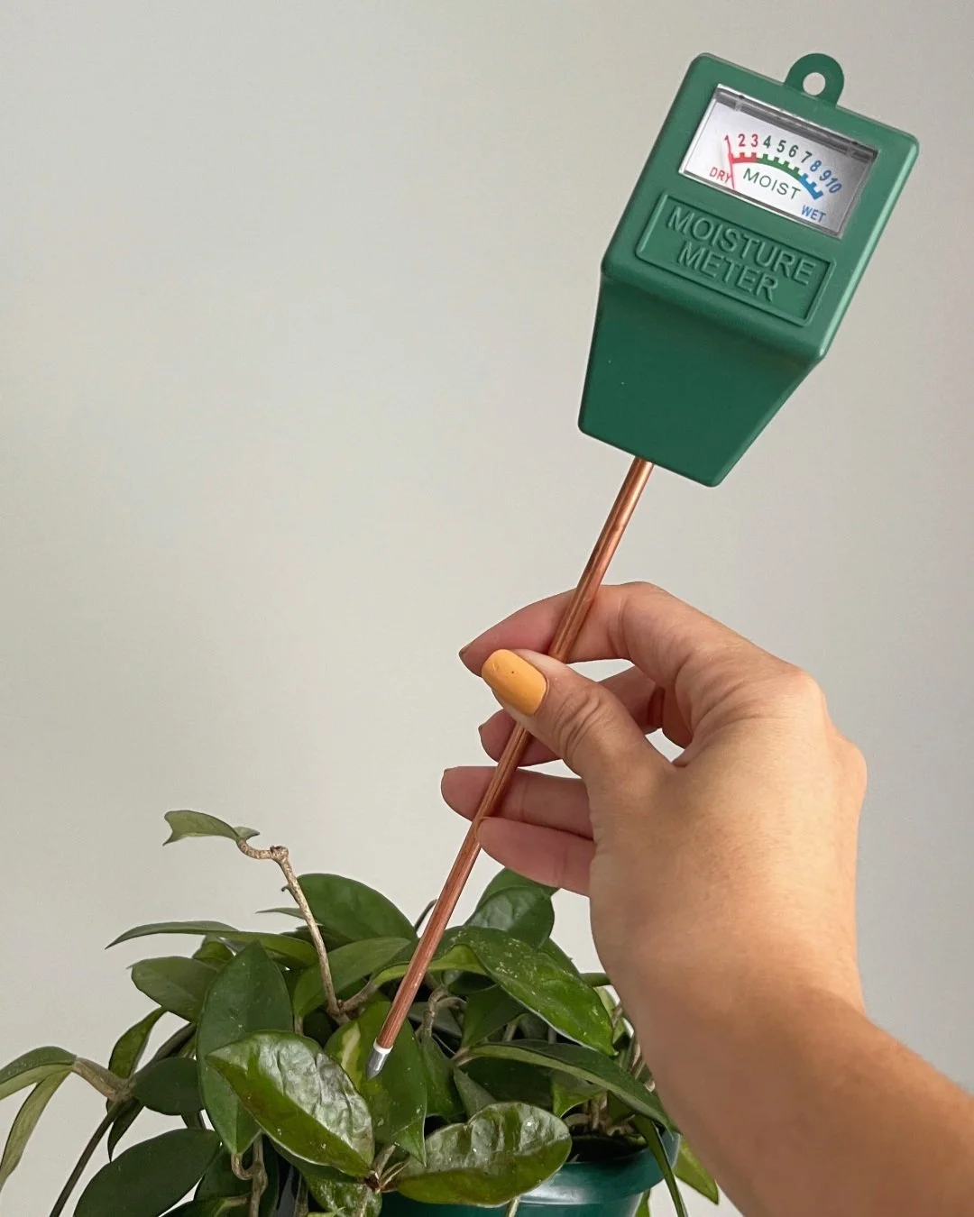 Moisture+Meter-2.jpg