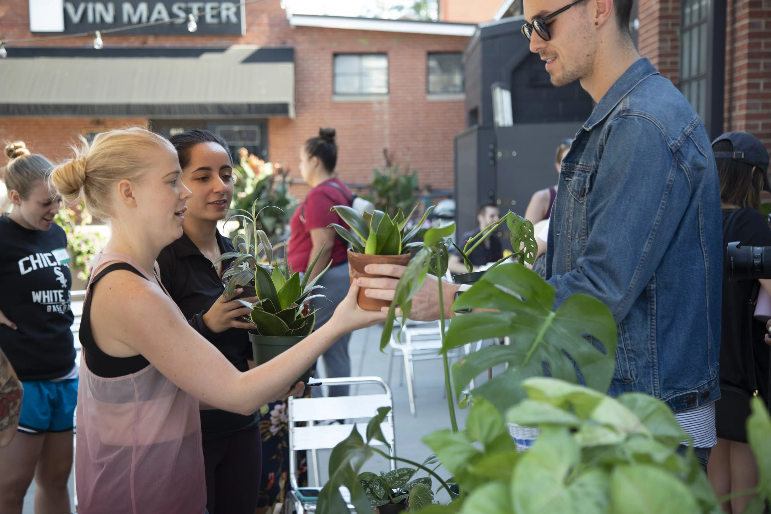 plant swap charlotte 9.jpg