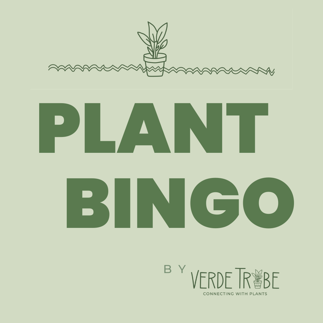 May Plant Bingo