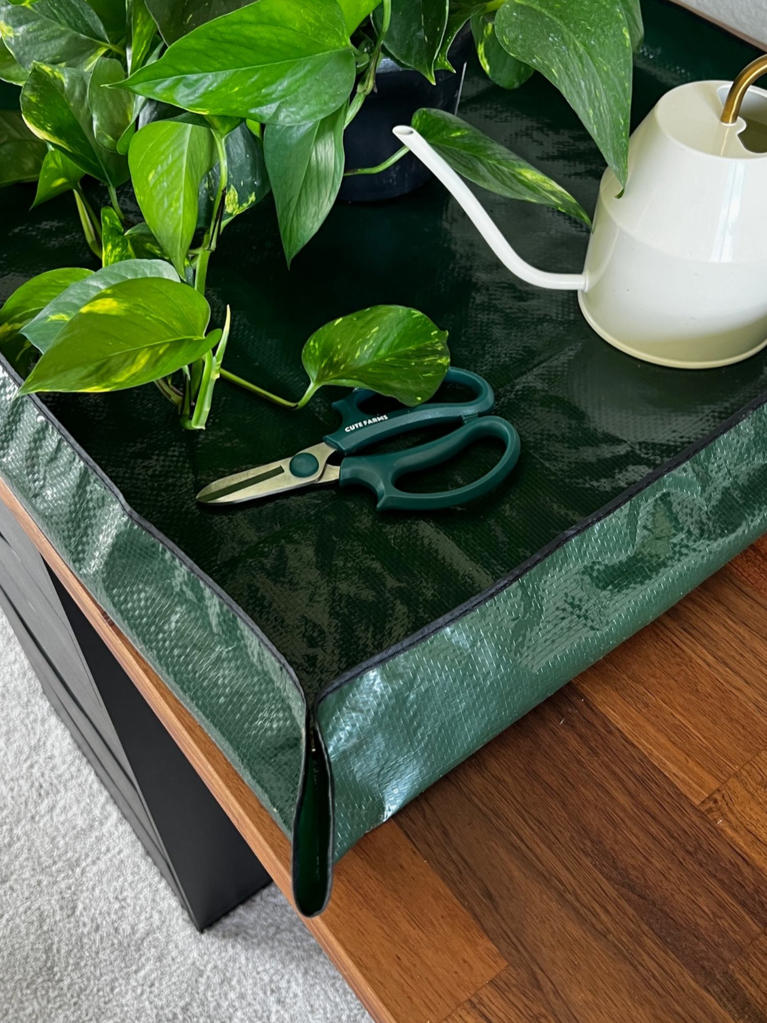 Repotting Mat 2.png