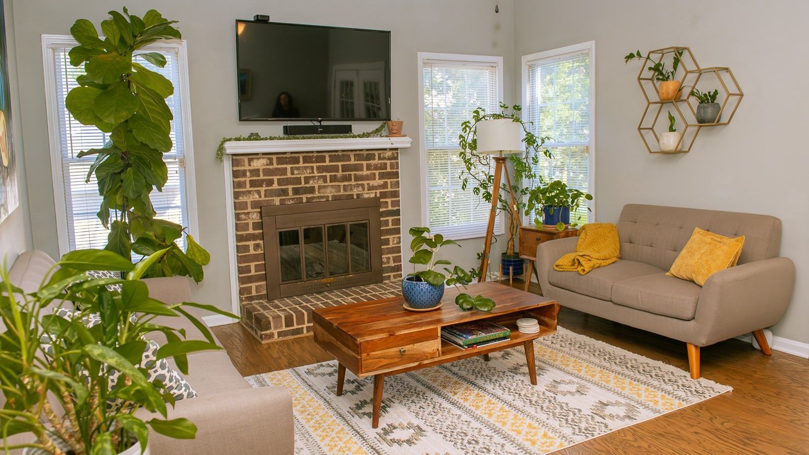 Preparing your Houseplants for Fall!