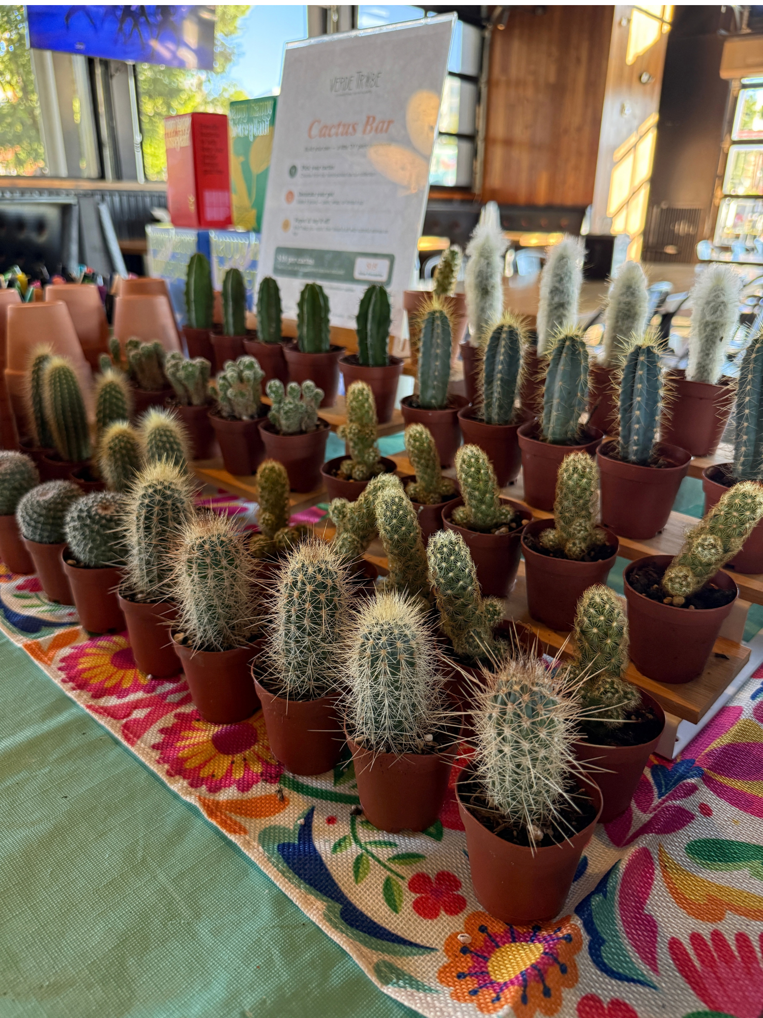 Cactus bar 1 (3).png