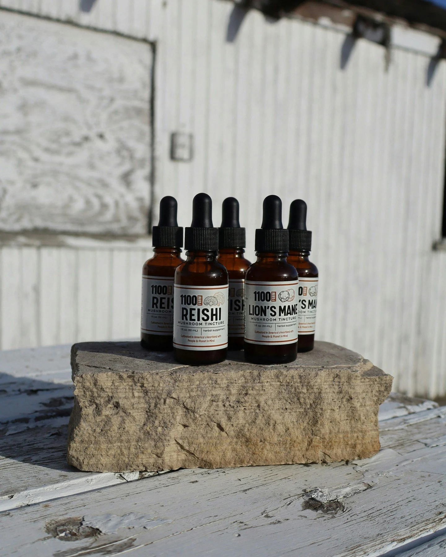 Now offering bundles!❣️Our popular Lion’s Mane and Reishi tinctures are available together in a powerful new package — and at a discounted price!
Boost your daytime focus, enjoy restful nights, and support your mind and body with every d