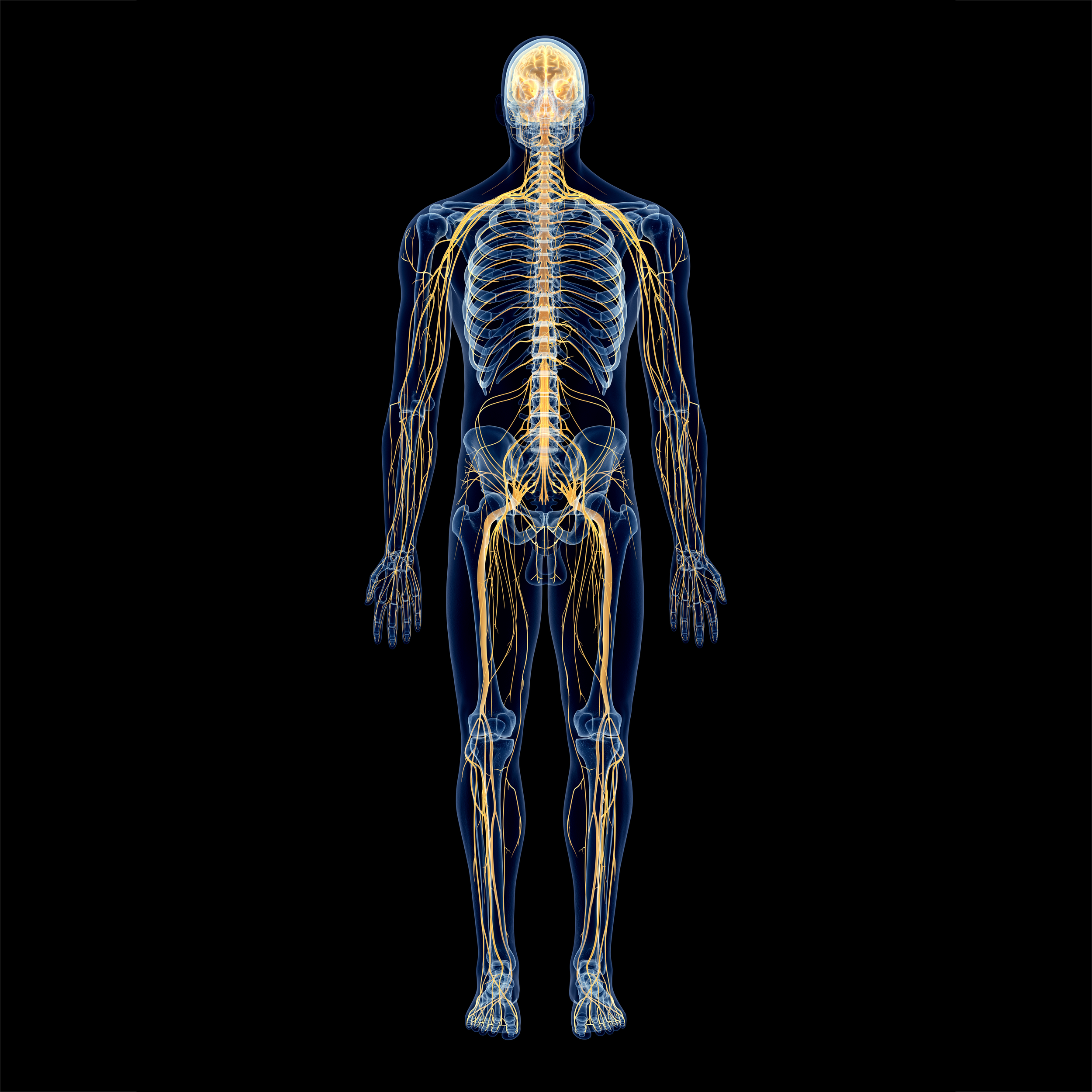 Chirurgie des nerfs périphériques