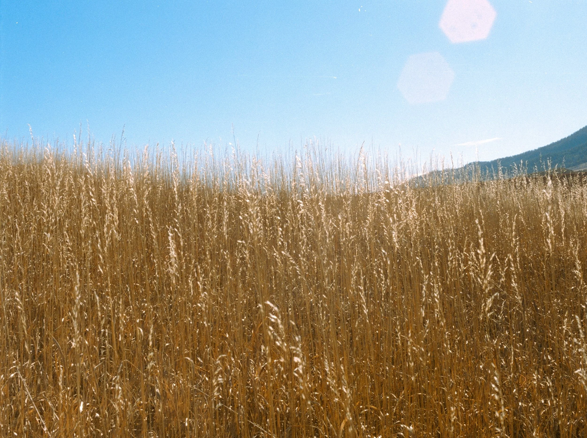 AB_Colorado-Cinestill 400D-36.jpg