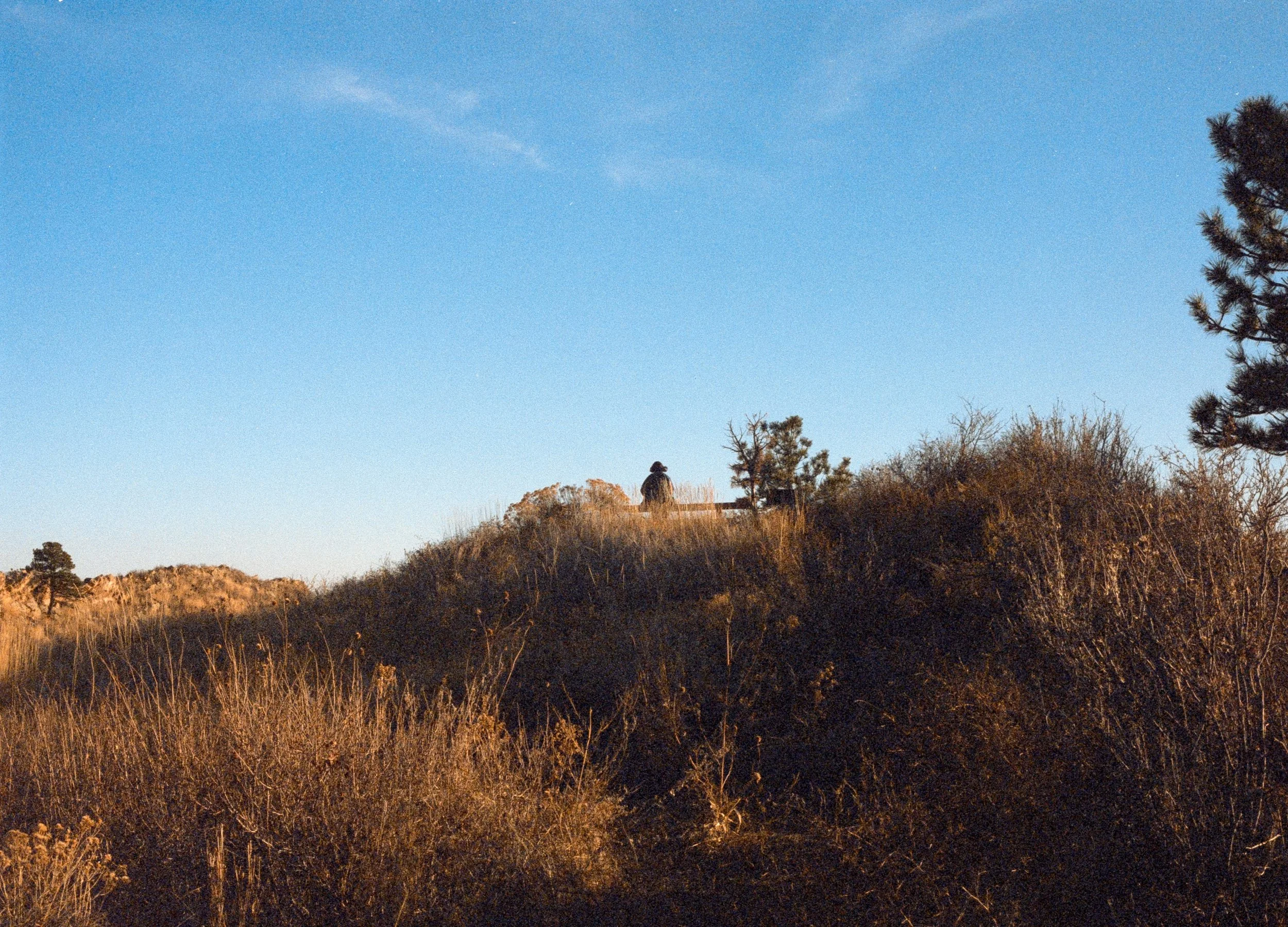 AB_Colorado-Cinestill 400D-64.jpg