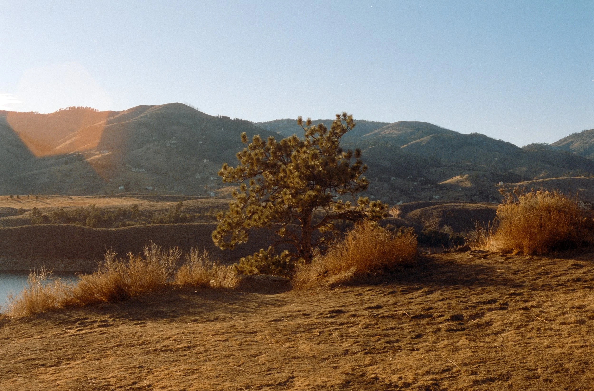 AB_Colorado-Cinestill 400D-70.jpg