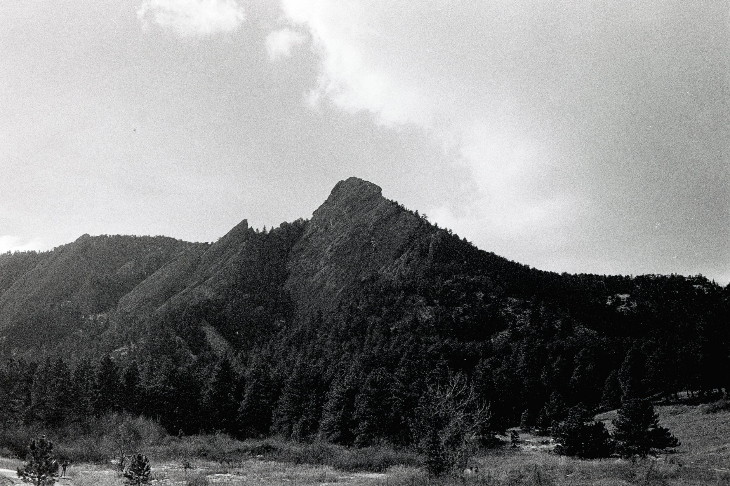AB_Flat Irons Prairie Vista_B&W-29.jpg
